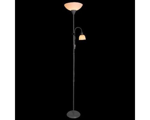 Торшер Duetto A9569PN-2SI Arte Lamp Торшер Duetto A9569PN-2SI Arte Lamp