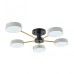 Потолочная люстра Ferrara 252006/5 Bk/Wh Arte Milano