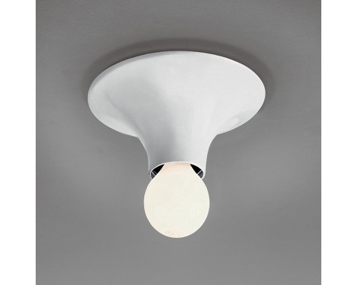 Настенно-потолочный светильник Teti A048120 Artemide Настенно-потолочный светильник Teti A048120 Artemide