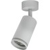 Спот Aras BR08077 Brizzi