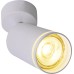 Спот Aras BR08077 Brizzi