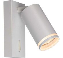 Спот Aras BR08079 Brizzi