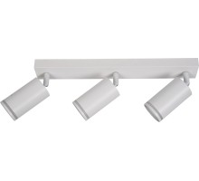 Спот Aras BR08091 Brizzi