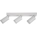 Спот Aras BR08091 Brizzi