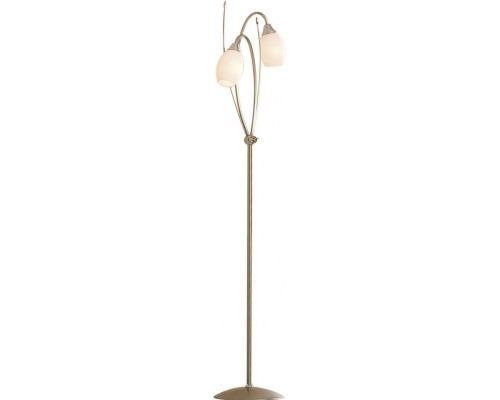 Торшер Kometa CL108921 Citilux Торшер Kometa CL108921 Citilux