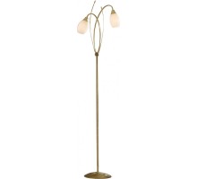 Торшер Kometa CL108922 Citilux