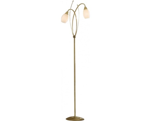 Торшер Kometa CL108922 Citilux Торшер Kometa CL108922 Citilux