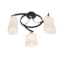 Потолочная люстра Taifun CL136131 Citilux