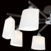 Потолочная люстра Astra CL138181 Citilux