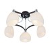 Потолочная люстра Iris CL143151 Citilux