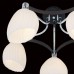 Потолочная люстра Iris CL143151 Citilux