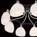 Потолочная люстра Iris CL143181 Citilux