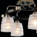 Потолочная люстра Каппа CL150141 Citilux