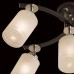 Потолочная люстра Фортуна CL156151 Citilux