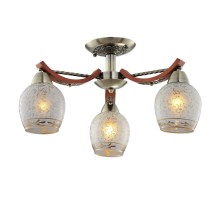 Потолочная люстра Vudi CL165133 Citilux