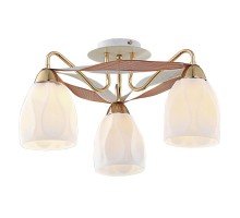 Потолочная люстра Формула CL167131 Citilux
