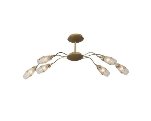 Потолочная люстра Amber CL201265 Citilux Потолочная люстра Amber CL201265 Citilux