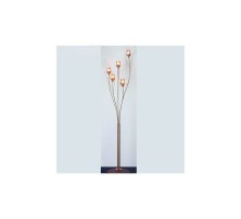 Торшер Lira CL204955 Citilux