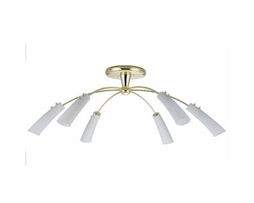 Потолочная люстра Ringo CL205162 Citilux
