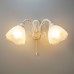 Бра Латур CL413420 Citilux