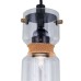 Подвесной светильник Эдисон CL450213 Citilux