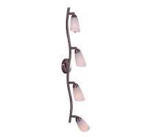 Спот Белла CL501541 Citilux