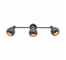 Спот Деко CL504532 Citilux