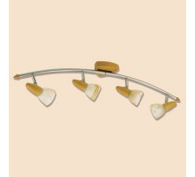 Спот Monte CL505541 Citilux