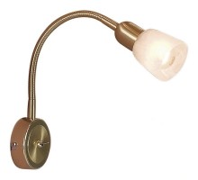 Спот Ronda CL506312 Citilux