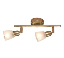 Спот Ronda CL506522 Citilux