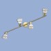 Спот Афина CL507543 Citilux