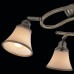 Потолочная люстра Прованс CL511143 Citilux
