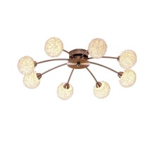 Спот Yudjin CL521182 Citilux