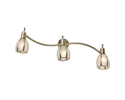 Спот Альтен-2 CL522631 Citilux Спот Альтен-2 CL522631 Citilux