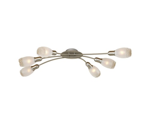 Потолочная люстра Мери CL524161 Citilux Потолочная люстра Мери CL524161 Citilux