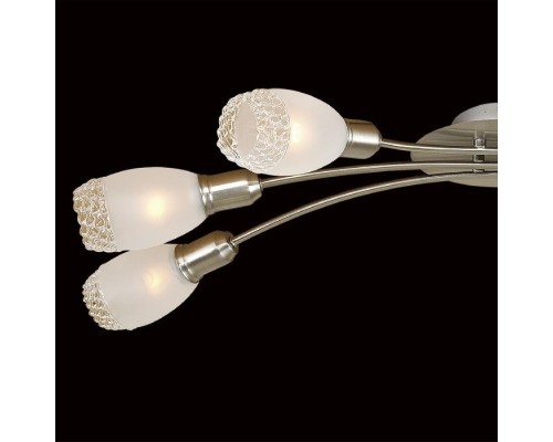 Потолочная люстра Мери CL524161 Citilux Потолочная люстра Мери CL524161 Citilux