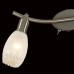 Спот Мери CL524521 Citilux