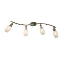 Спот Мери CL524541 Citilux