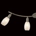 Спот Мери CL524541 Citilux