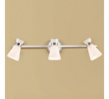 Спот Grejs CL528531 Citilux