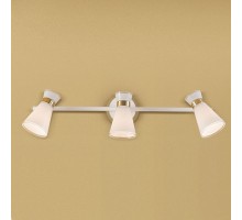 Спот Grejs CL528532 Citilux