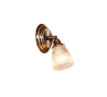 Спот Виндзор CL539511 Citilux