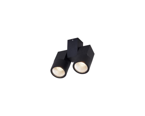 Спот Дубль CL556102 Citilux Спот Дубль CL556102 Citilux