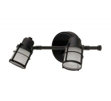 Спот Реймс CL563521 Citilux