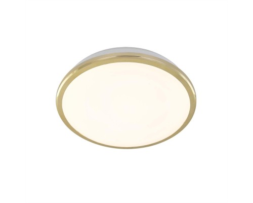 Потолочный светильник Луна CL702162W Citilux Потолочный светильник Луна CL702162W Citilux