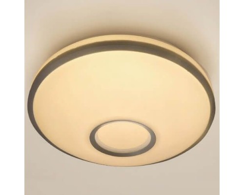 Потолочный светильник Luna CL70220W Citilux Потолочный светильник Luna CL70220W Citilux