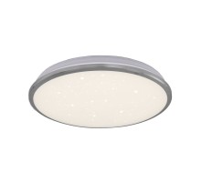 Настенно-потолочный светильник Луна CL702221Wz Citilux