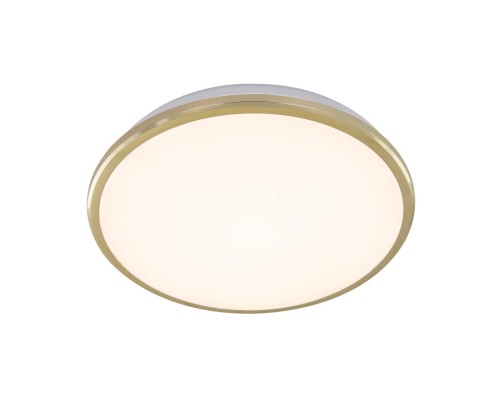 Потолочный светильник Луна CL702222W Citilux Потолочный светильник Луна CL702222W Citilux