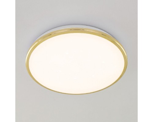 Настенно-потолочный светильник Луна CL702302Wz Citilux