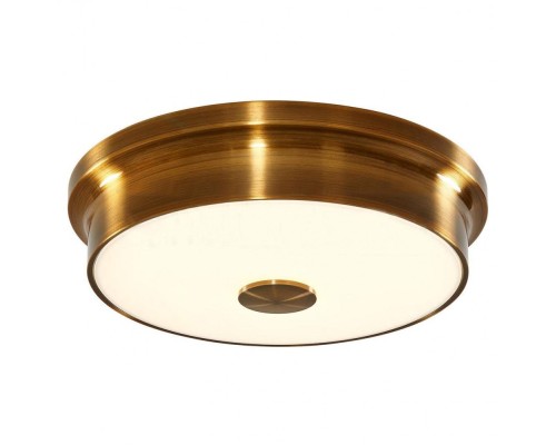Точечный светильник Фостер-2 CL706222 Citilux